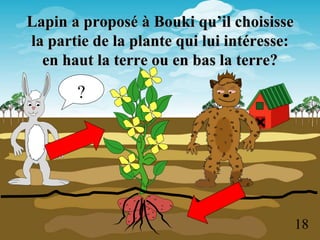 Lapin a proposé à Bouki qu’il choisisse
la partie de la plante qui lui intéresse:
en haut la terre ou en bas la terre?
?
18
 