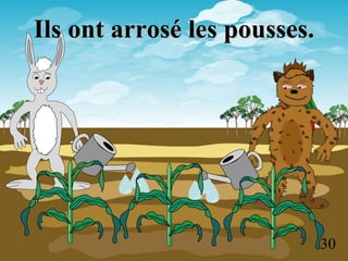 Ils ont arrosé les pousses.
30
 