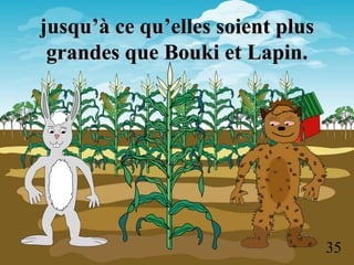 jusqu’à ce qu’elles soient plus
grandes que Bouki et Lapin.
35
 