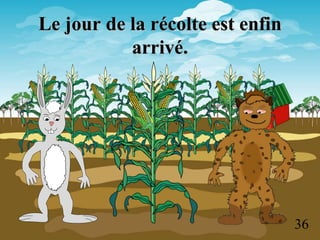 Le jour de la récolte est enfin
arrivé.
36
 