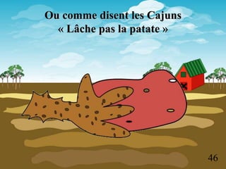 Ou comme disent les Cajuns
« Lâche pas la patate »
46
 