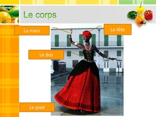 La main
Le pied
Le dos
La tête
 