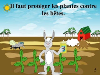 Il faut protéger les plantes contre
les bêtes.
5
 