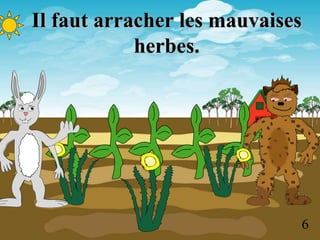 6
Il faut arracher les mauvaises
herbes.
 