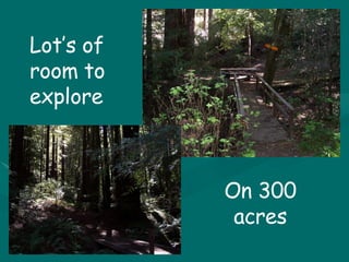 Lot’s of room to explore On 300 acres 