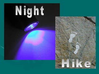 Night Hike 