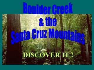 Boulder Creek & the Santa Cruz Mountains DISCOVER IT ! 