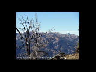 On DryCanyon looking toward Baker Creek
 