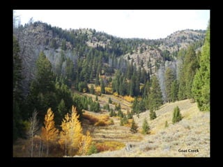 Goat Creek
 