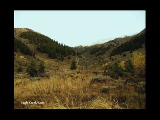 Eagle Creek Basin
 