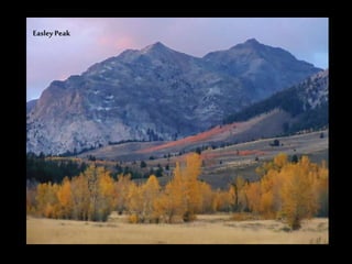 Easley Peak
 