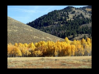 Boulder mountains   oct 2010