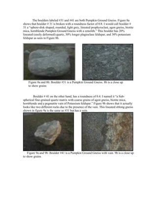 The boulders labeled #31 and #41 are both Pumpkin Ground Gneiss. Figure 8a
shows that boulder # 31 is broken with a roundness factor of 0.8. I would call boulder #
31 a “sphere-disk shaped, rounded, light grey, lineated prophyroclast, agon gneiss, biotite
mica, hornblende Pumpkin Ground Gneiss with a zenolith.” This boulder has 20%
lineated (easily deformed) quartz, 30% longer plagioclase feldspar, and 30% potassium
feldspar as seen in Figure 8b.




    Figure 8a and 8b: Boulder #31 is a Pumpkin Ground Gneiss. 8b is a close up
    to show grains


         Boulder # 41 on the other hand, has a roundness of 0.4. I named it “a Sub-
spherical fine-grained quartz matrix with coarse grains of agon gneiss, biotite mica,
hornblende and a pegmatite vain of Potassium feldspar.” Figure 9b shows that it actually
looks like two different rocks due to the presence of the vain. This lineated oblong gneiss
shown in figure 9a is the same as #31 but has a vein.




    Figure 9a and 9b: Boulder #41 is a Pumpkin Ground Gneiss with vain. 9b is a close up
to show grains
 