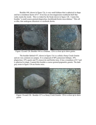 Boulder #44, shown in figure 12a, is very small diabase that is spherical in shape
and has a roundness factor of 0.7. It too has an iron-magnesium weathered shell that
really masks the inside. This is evident by the break shown in figure 12b. I name this
boulder “a small coarse-grained plagioclase, hornblende/biotite mica diabase.” This sill
or dike, that undergone alteration is a textbook diorite.




 Figure 12a and 12b: Boulder #44 is a Diabase. 12b is a close up to show grains.

        The boulder labeled #37, shown in figure 13a is a called a Stony Creek Granite
and are very common on campus. It is composed of 40% potassium feldspar, 30%
plagioclase, 25% quartz and 5% muscovite and biotite mica. It has a roundness of 0.7 and
is spherical in shape. I named this boulder a coarse-grained pegmatitic granite. The dark
grey areas in figure 13b are biotite mica.




   Figure 13a and 13b: Boulder #37 is a Stony Creek Granite. 13b is a close up to show
   grains
 