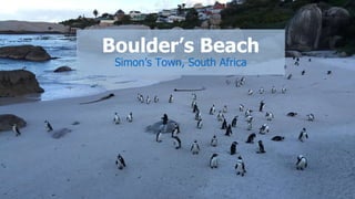 Boulder’s Beach
Simon’s Town, South Africa
 