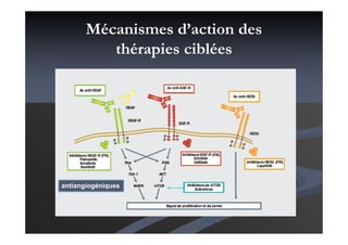 Mécanismes d’action des
thérapies ciblées
(HER1)
antiangiogéniques
 