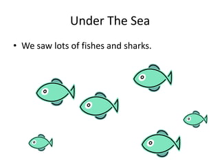 Under The SeaWe saw lots of fishes and sharks.