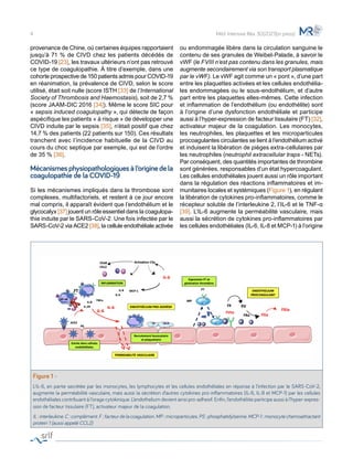 provenance de Chine, où certaines équipes rapportaient
jusqu’à 71 % de CIVD chez les patients décédés de
COVID-19 [23], les travaux ultérieurs n’ont pas retrouvé
ce type de coagulopathie. À titre d’exemple, dans une
cohorte prospective de 150 patients admis pour COVID-19
en réanimation, la prévalence de CIVD, selon le score
utilisé, était soit nulle (score ISTH [33] de l’International
Society of Thrombosis and Haemostasis), soit de 2,7 %
(score JAAM-DIC 2016 [34]). Même le score SIC pour
« sepsis induced coagulopathy », qui détecte de façon
aspécifique les patients « à risque » de développer une
CIVD induite par le sepsis [35], n’était positif que chez
14,7 % des patients (22 patients sur 150). Ces résultats
tranchent avec l’incidence habituelle de la CIVD au
cours du choc septique par exemple, qui est de l’ordre
de 35 % [36].
Mécanismes physiopathologiques à l’origine de la
coagulopathie de la COVID-19
Si les mécanismes impliqués dans la thrombose sont
complexes, multifactoriels, et restent à ce jour encore
mal compris, il apparaît évident que l’endothélium et le
glycocalyx [37] jouent un rôle essentiel dans la coagulopa-
thie induite par le SARS-CoV-2. Une fois infectée par le
SARS-CoV-2 via ACE2 [38], la cellule endothéliale activée
ou endommagée libère dans la circulation sanguine le
contenu de ses granules de Weibel-Palade, à savoir le
vWF (le FVIII n’est pas contenu dans les granules, mais
augmente secondairement via son transport plasmatique
par le vWF). Le vWF agit comme un « pont », d’une part
entre les plaquettes activées et les cellules endothélia-
les endommagées ou le sous-endothélium, et d’autre
part entre les plaquettes elles-mêmes. Cette infection
et inflammation de l’endothélium (ou endothélite) sont
à l’origine d’une dysfonction endothéliale et participe
aussi à l’hyper-expression de facteur tissulaire (FT) [32],
activateur majeur de la coagulation. Les monocytes,
les neutrophiles, les plaquettes et les microparticules
procoagulantes circulantes se lient à l’endothélium activé
et induisent la libération de pièges extra-cellulaires par
les neutrophiles (neutrophil extracellular traps - NETs).
Par conséquent, des quantités importantes de thrombine
sont générées, responsables d’un état hypercoagulant.
Les cellules endothéliales jouent aussi un rôle important
dans la régulation des réactions inflammatoires et im-
munitaires locales et systémiques (Figure 1), en régulant
la libération de cytokines pro-inflammatoires, comme le
récepteur soluble de l’interleukine 2, l’IL-6 et le TNF-α
[39]. L’IL-6 augmente la perméabilité vasculaire, mais
aussi la sécrétion de cytokines pro-inflammatoires par
les cellules endothéliales (IL-6, IL-8 et MCP-1) à l’origine
4 Méd. Intensive Réa. 30(2021)(in press)
Figure 1 -
L'IL-6, en partie secrétée par les monocytes, les lymphocytes et les cellules endothéliales en réponse à l’infection par le SARS-CoV-2,
augmente la perméabilité vasculaire, mais aussi la sécrétion d’autres cytokines pro-inflammatoires (IL-6, IL-8 et MCP-1) par les cellules
endothéliales contribuant à l’orage cytokinique. L’endothelium devient ainsi pro-adhesif. Enfin, l’endothéliite participe aussi à l’hyper-expres-
sion de facteur tissulaire (FT), activateur majeur de la coagulation.
IL : interleukine. C : complément. F : facteur de la coagulation. MP : microparticules. PS : phosphatidylserine. MCP-1 : monocyte chemoattractant
protein 1 (aussi appelé CCL2)
 