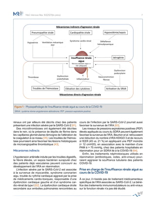 7
rénaux ont par ailleurs été décrits chez des patients
présentant une infection sévère par le SARS-CoV-2 [61].
	 Des microthromboses ont également été décrites
dans le rein, où la présence de dépôts de fibrine dans
les capillaires glomérulaires témoigne de l’altération de
la coagulation à ce niveau [35]. Les troubles de l’hémos-
tase pourraient ainsi favoriser les lésions histologiques
de microangiopathie thrombotique [43].
Mécanismes indirects
L’hypotension artérielle induite par les troubles digestifs,
la fièvre élevée, un sepsis bactérien surajouté chez
des patients déjà vasculaires peuvent concourir au
développement de l’IRA en réanimation.
	 L’infection sévère par le SARS-CoV-2 est associée
à la survenue de myocardite, syndrome coronarien
aigu, trouble du rythme cardiaque aggravé par la prise
de médicaments cardio-toxiques, responsable d’une
dysfonction cardiaque gauche et d’un syndrome car-
dio-rénal de type I [62]. La dysfonction cardiaque droite
secondaire aux embolies pulmonaires rencontrées au
cours de l’infection par le SARS-CoV-2 pourrait aussi
favoriser la survenue de l’IRA [63].
	 Les niveaux de pressions expiratoires positives (PEP)
élevés appliqués au cours du SDRA peuvent également
favoriser la survenue de l’IRA. Beurton et al. retrouvaient
une réduction du nombre d’IRA KDIGO 3 et de recours
à l’EER (45 vs. 21 %) en appliquant une PEP moindre
(< 12 cmH20), en association avec le maintien d’une
PAM à > 75 mmHg, chez des patients hospitalisés en
réanimation pour un SDRA lié à la COVID-19 [64].
	 Enfin, les traitements néphrotoxiques utilisés en
réanimation (antibiotiques, iodes, anti-viraux) pour-
raient aggraver la souffrance tubulaire des patients
COVID-19.
Prise en charge de l’insuffisance rénale aiguë au
cours de la COVID-19
À ce jour, il n’existe pas de traitement médicamenteux
spécifique de l’IRA associée au SARS-CoV-2. Le béné-
fice des traitements immunomodulateurs ou anti-viraux
sur la fonction rénale n’a pas été étudié.
Méd. Intensive Réa. 30(2021)(in press)
Figure 1 - Physiopathologie de l’insuffisance rénale aiguë au cours de la COVID-19
SRAA : système rénine-angiotensine-aldostérone. PEP : pression expiratoire positive.
 
