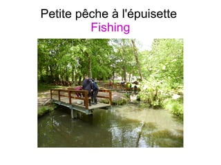 Petite pêche à l'épuisette
Fishing
 