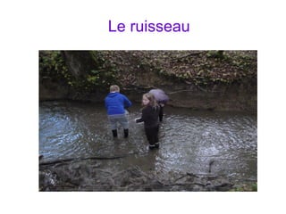 Le ruisseau
 