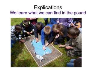 Explications
We learn what we can find in the pound
 