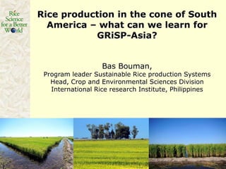 Rice production in the cone of South
  America – what can we learn for
           GRiSP-Asia?


                   Bas Bouman,
 Program leader Sustainable Rice production Systems
   Head, Crop and Environmental Sciences Division
   International Rice research Institute, Philippines
 
