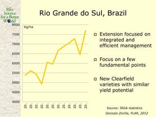 Rice production in the cone of South America – what can we learn for GRiSP-Asia?
