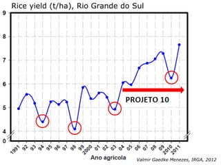 Rice production in the cone of South America – what can we learn for GRiSP-Asia?