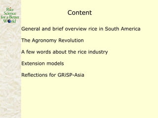 Rice production in the cone of South America – what can we learn for GRiSP-Asia?