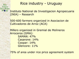 Rice production in the cone of South America – what can we learn for GRiSP-Asia?