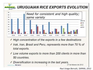 Rice production in the cone of South America – what can we learn for GRiSP-Asia?