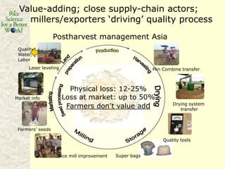 Rice production in the cone of South America – what can we learn for GRiSP-Asia?