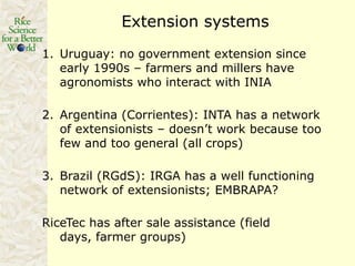 Rice production in the cone of South America – what can we learn for GRiSP-Asia?