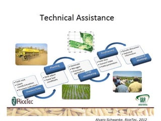 Rice production in the cone of South America – what can we learn for GRiSP-Asia?