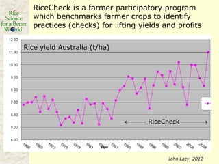 Rice production in the cone of South America – what can we learn for GRiSP-Asia?
