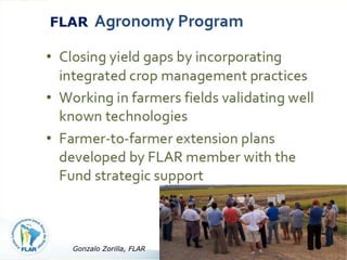 Rice production in the cone of South America – what can we learn for GRiSP-Asia?