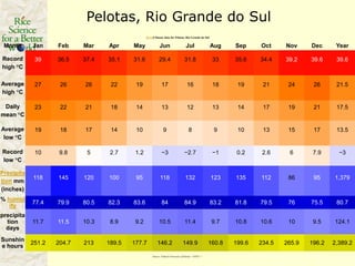 Rice production in the cone of South America – what can we learn for GRiSP-Asia?