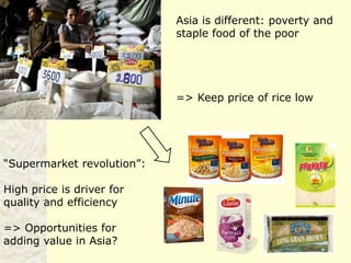 Rice production in the cone of South America – what can we learn for GRiSP-Asia?