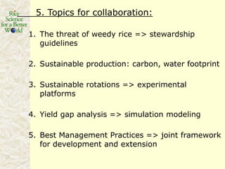 Rice production in the cone of South America – what can we learn for GRiSP-Asia?