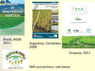 Rice production in the cone of South America – what can we learn for GRiSP-Asia?