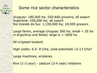Rice production in the cone of South America – what can we learn for GRiSP-Asia?