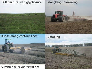 Rice production in the cone of South America – what can we learn for GRiSP-Asia?