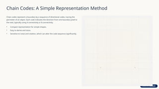 Boundary-Representation-in-Digital-Image-Processing.pptx