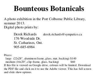 Bounteous Botanicals
A photo exhibition in the Port Colborne Public Library,
summer 2013.
Digital photo prints by:
Derek Richards
derek.richards@sympatico.ca
176 Woodside Dr.
St. Catharines, Ont.
905-685-6984
Prices:
large (22x28", aluminum frame, glass, mat, backing) $140
medium (16x20", clip-frame, glass, backing)
$60
If this file is viewed on Google drive, colours will be limited. Download
the PDF file and click on it to use the Adobe viewer. This has full screen
and slide show options.

 
