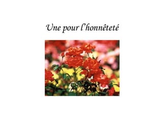 Une pour l’honnêteté                                                
