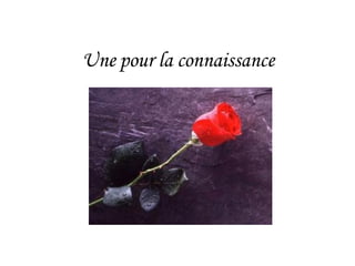 Une pour la connaissance                                                                                                     