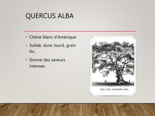 QUERCUS ALBA
• Chène blanc d’Amérique
• Solide, dure, lourd, grain
fin.
• Donne des saveurs
intenses
 