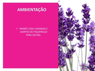 AMBIENTAÇÃO
✓ PAINÉIS COM LAVANDAS E
CAMPOS DE PIQUENIQUE
PARA SELFIES.
 