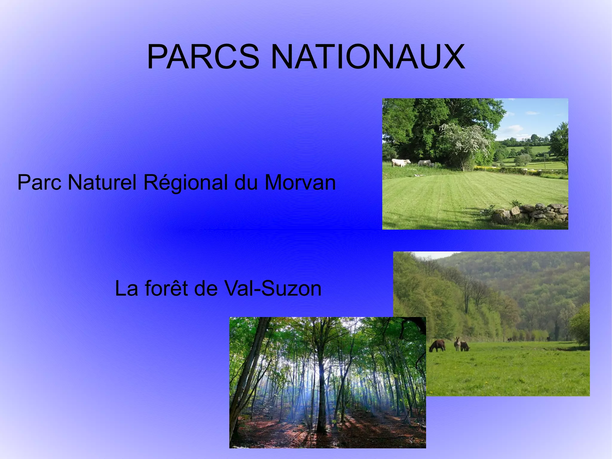 PARCS NATIONAUX
Parc Naturel Régional du Morvan
La forêt de Val-Suzon